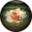 portal.steamrolled