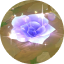 portal.crystalCaress