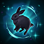 Bunnymorph