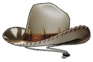 카우보이 모자