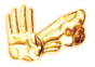 Buddha's Palm