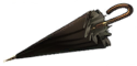 Spy Umbrella