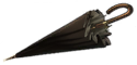 Spy Umbrella