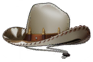 카우보이 모자
