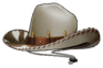 카우보이 모자