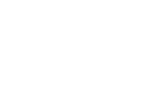 set 14 logo